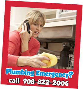 contact Budget Rooter Plumbing Plus